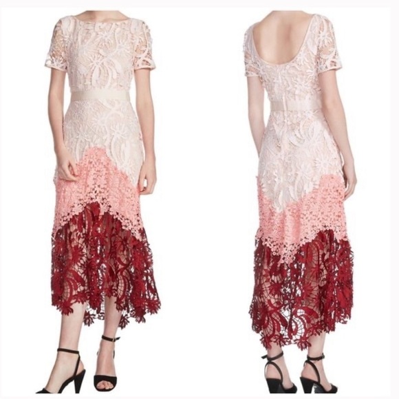Maje Romarin Ombre Lace Midi Dress - Picture 4 of 9